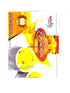 APNA TAST E MANGO RASMALAI 12PC - apniroots Grocery
